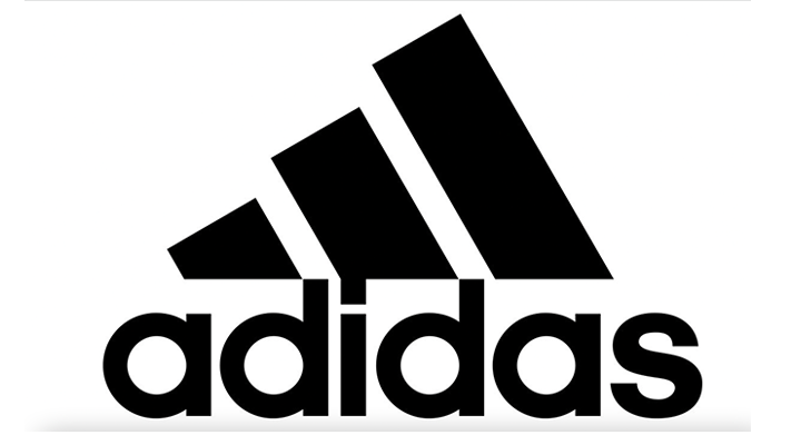 我们看到了 我们看到了